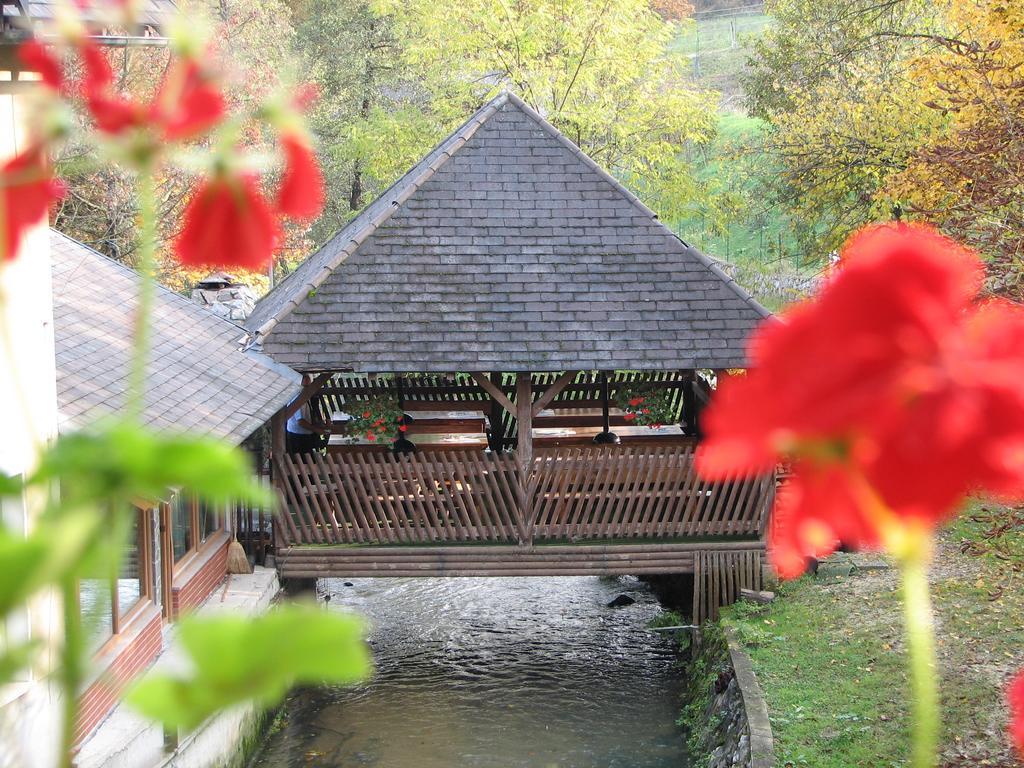 Guesthouse Zorko Gostilna Domen Шмарьешке-Топлице Экстерьер фото