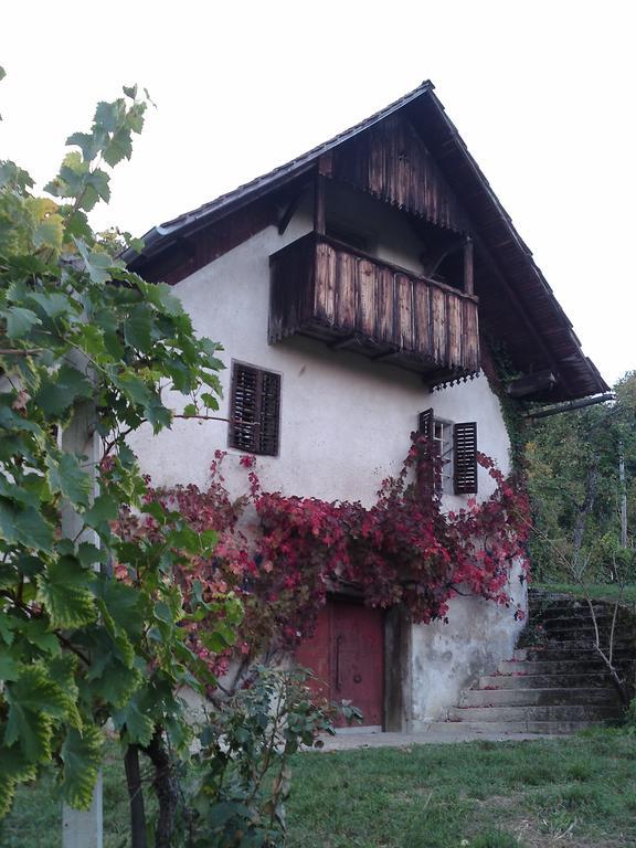 Guesthouse Zorko Gostilna Domen Шмарьешке-Топлице Экстерьер фото